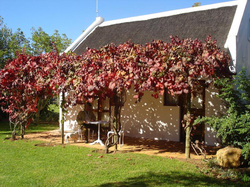De Doornkraal Vinotel Riversdale Habitación foto
